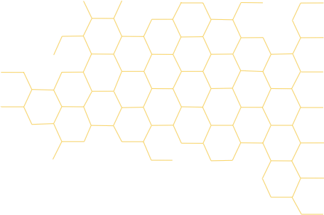 Team & Advisors - Bee Nest Pattern Png (456x302), Png Download