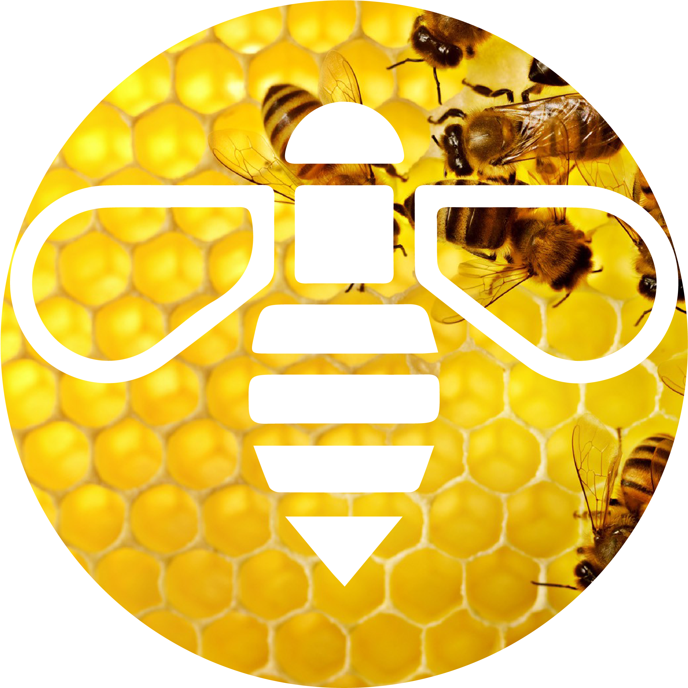 Why Bees Are Important To Our Planet - Applied And Economic Zoology (2333x2334), Png Download