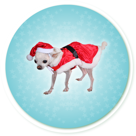 Caso - Santa Claus (460x460), Png Download