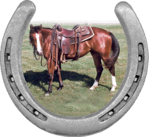 Corazon Y Alma - Sorrel (484x446), Png Download