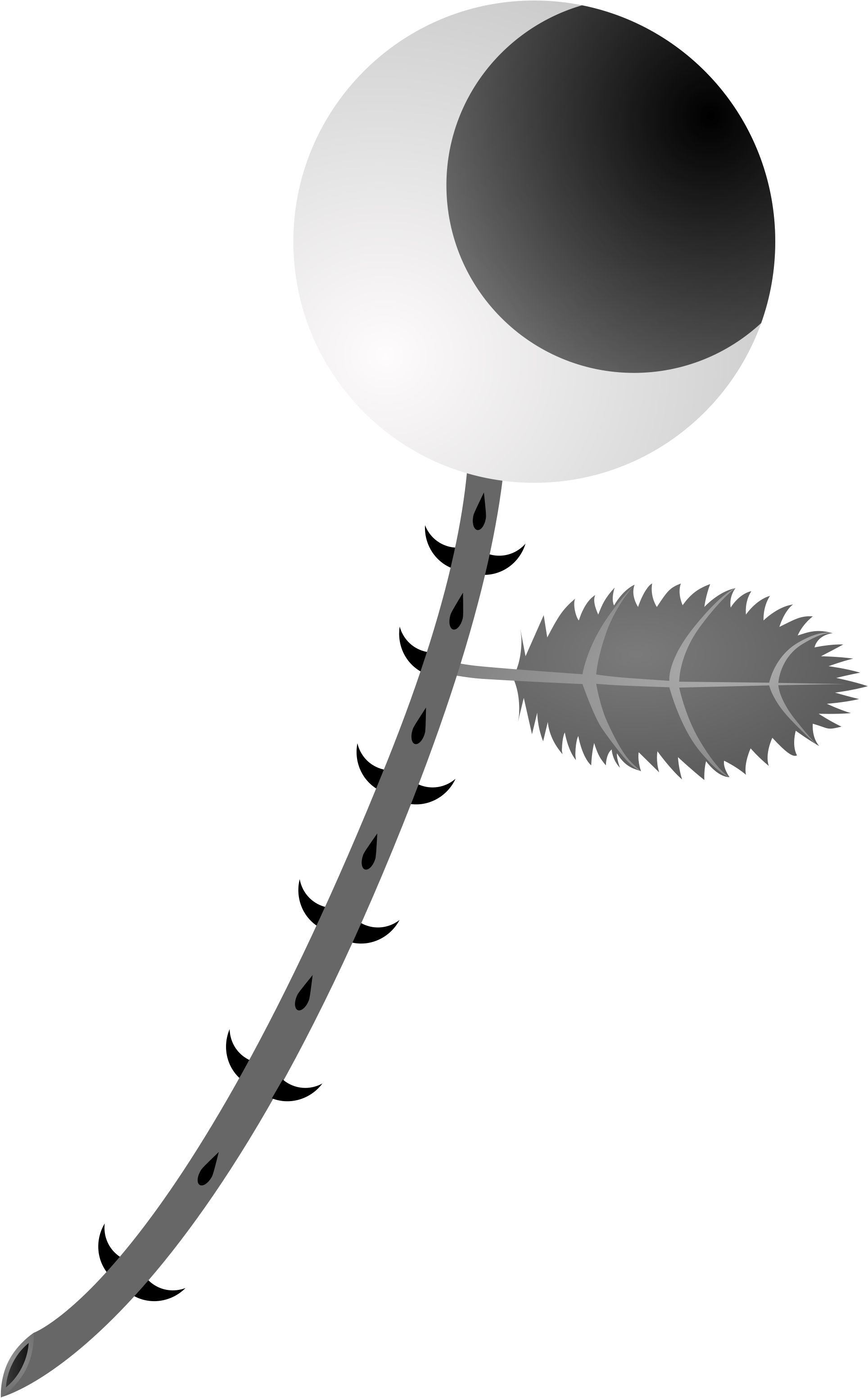 Open - Circle (2000x3250), Png Download