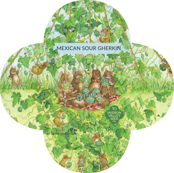 Melothria Scabra (700x699), Png Download