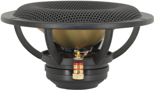 Side 750px - Spiderless Speaker (544x320), Png Download