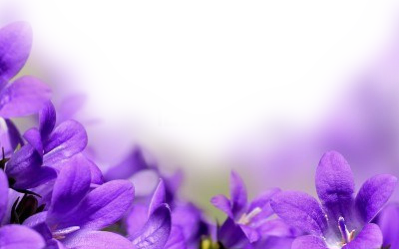 Spring Flower Flower Border Official Psds - Flowers With Love Words (1368x855), Png Download