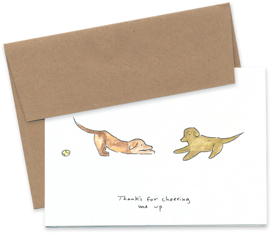 Image - Ferret (580x494), Png Download