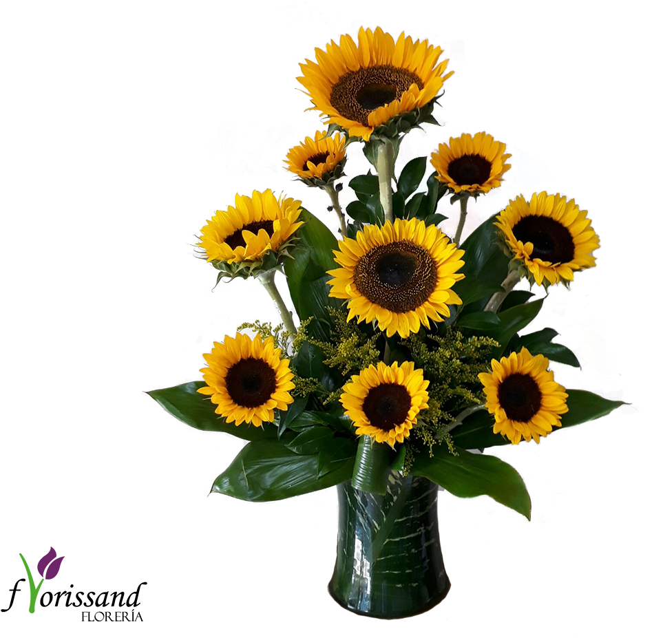 Jarron Cristal Forrado En Hojas Verdes - Sunflower (1200x1000), Png Download