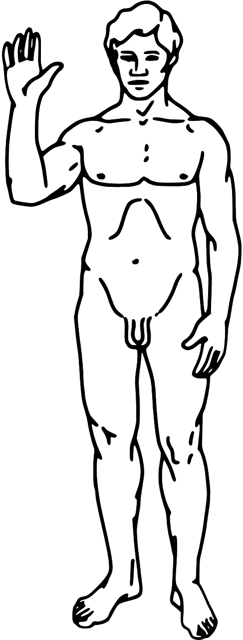 If It Is Still Too Cold, Ask The People In The Steam - Hydrostatic Pressure When Standing (640x1280), Png Download