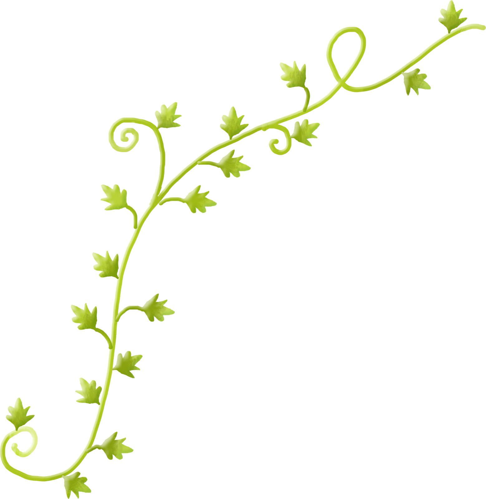 Enredadera Verde Png - Enredadera Png (1559x1600), Png Download