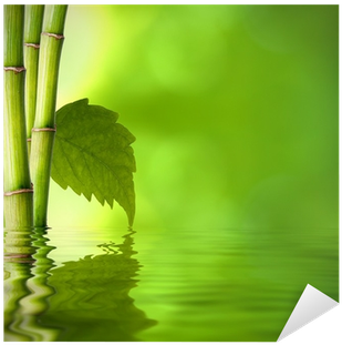 Bambú Con Hoja Verde Frente Al Agua Sticker • Pixers® - Paperflow Usa Easyscreen Vertical Divider, Bamboo With (400x400), Png Download