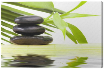 Piedras Negras Con Agua Y Hojas Verdes Canvas Print - Spa (400x400), Png Download