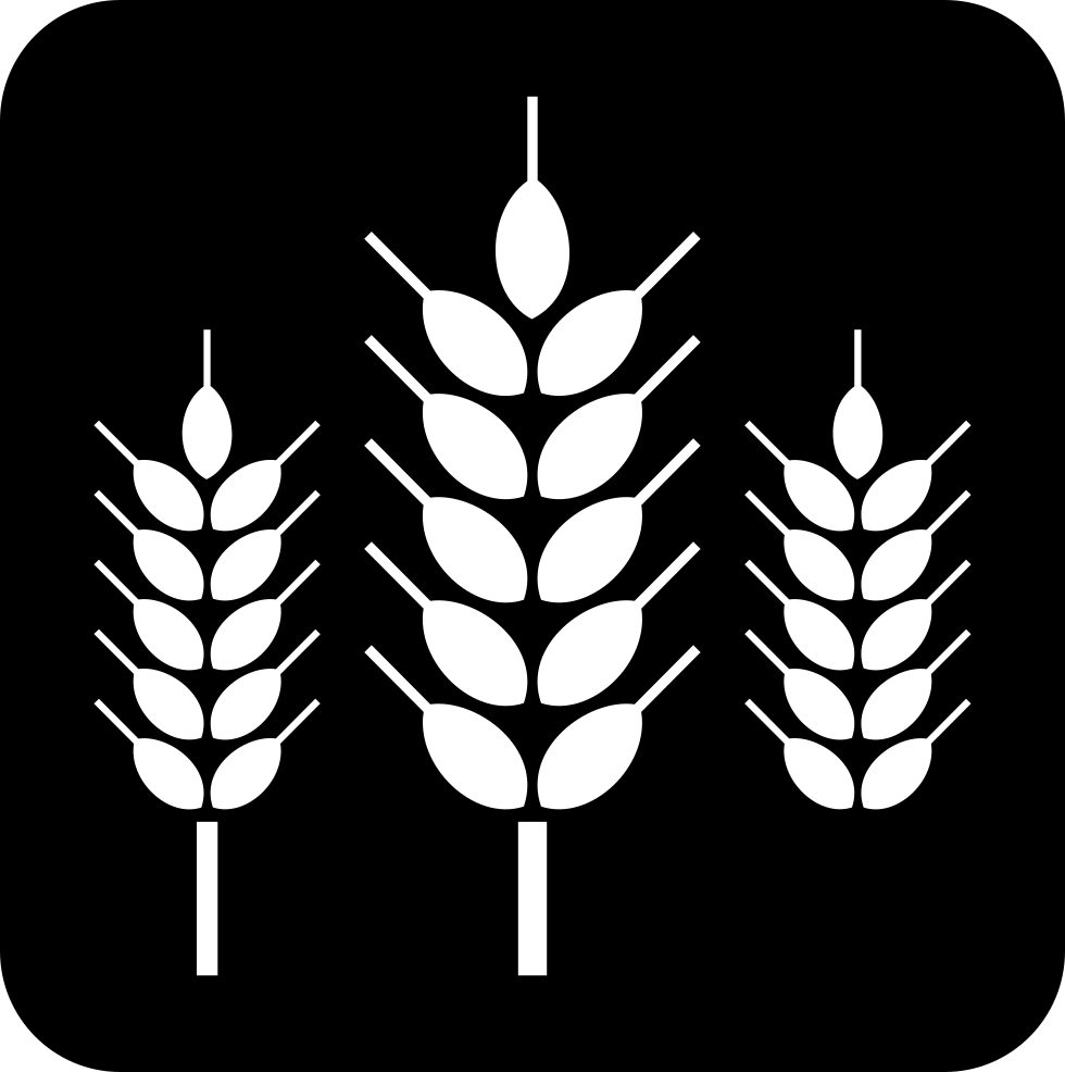 Png File - Laguna Beach Beer Company Logo (980x986), Png Download