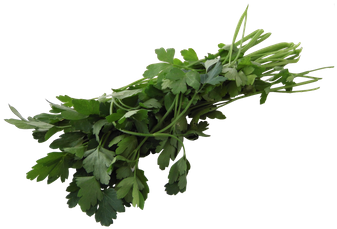 Perejil Crespo 30 G - Parsley (350x350), Png Download