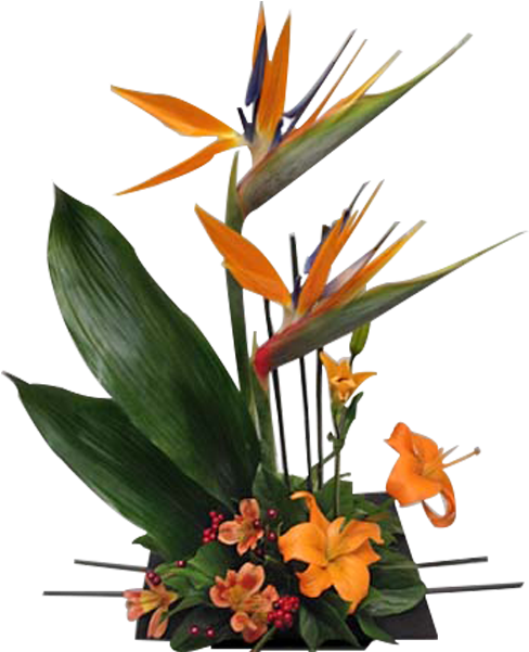 Fantastic Birds - Lily (600x600), Png Download