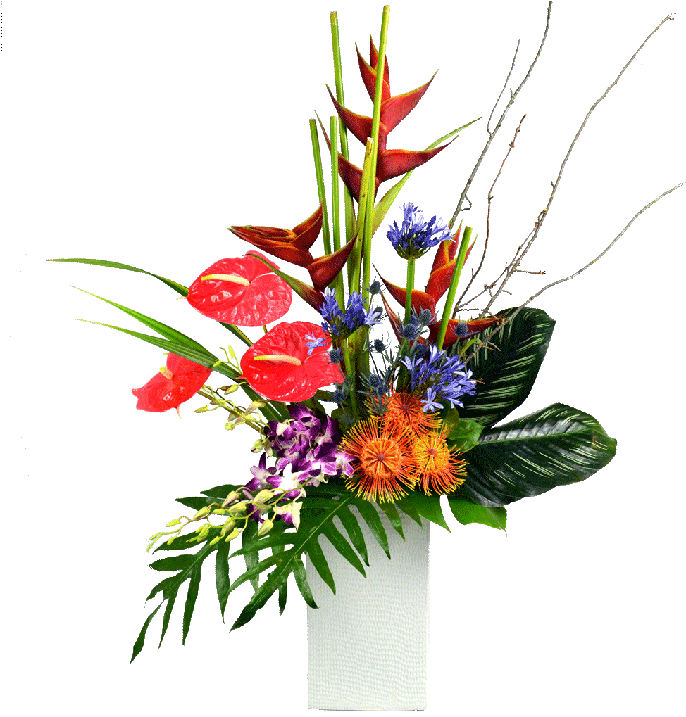 Holiday (1024x1024), Png Download