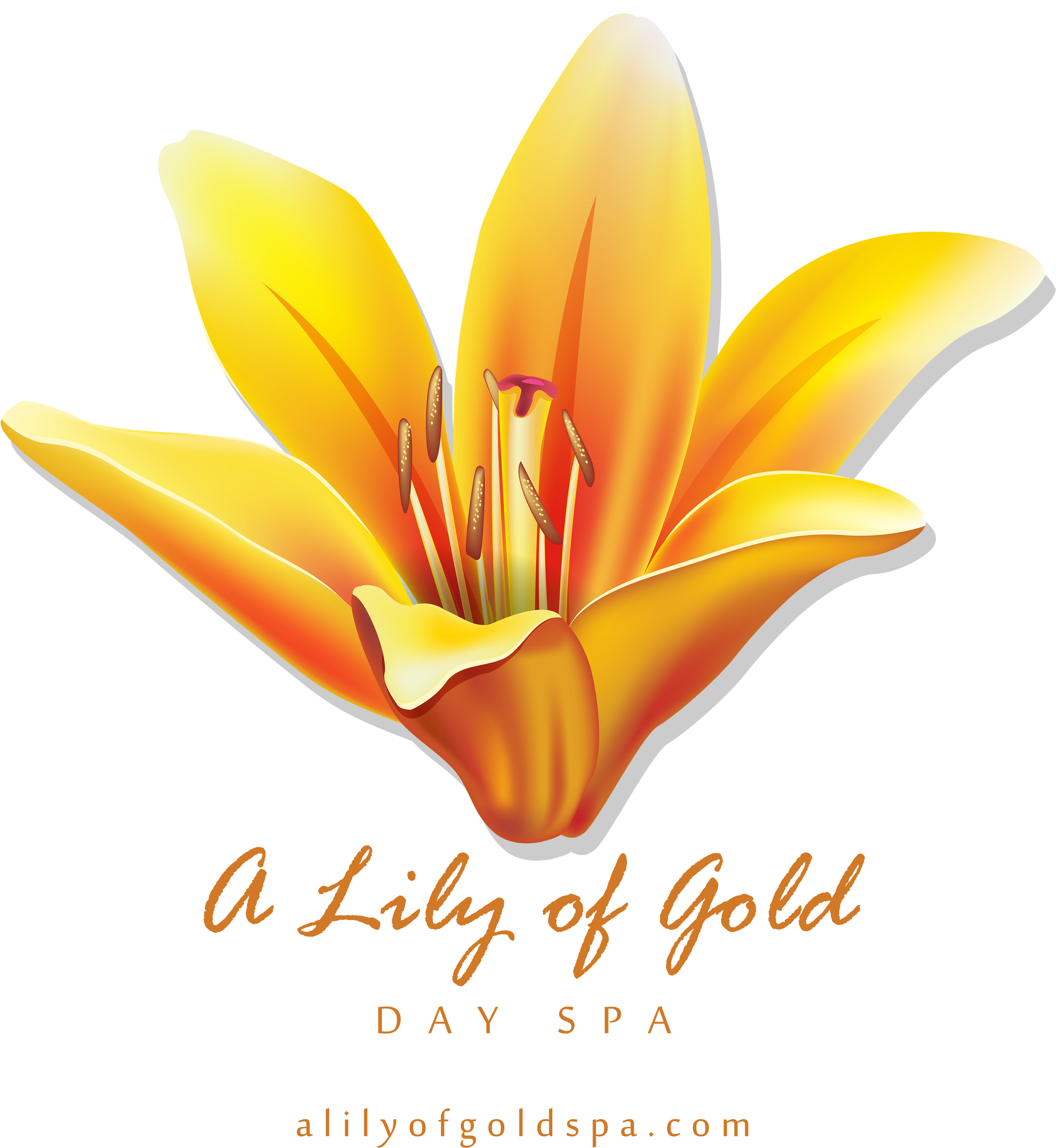 B888e4 D 5600 8000 S 4 2 - Hempz Yuzu & Starfruit Instant Sunless Bronzing (5600x8000), Png Download