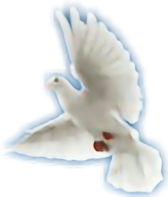 Holy Spirit (560x656), Png Download