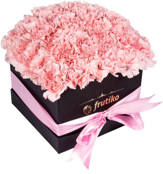 Black Box Of Pink Carnations - Carnation Flowers In A Box (750x800), Png Download