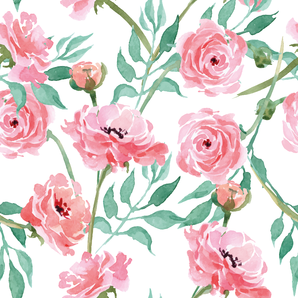 Download Pink Carnation Cartoon Background 康乃馨背景png Image With No Background Pngkey Com Download Pink Carnation Cartoon Background 康乃馨背景png Image With No Background Pngkey Com