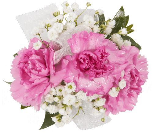 Daddy Daughter Mini Carnation Corsage • $10 - Royer's Flowers & Gifts (500x611), Png Download
