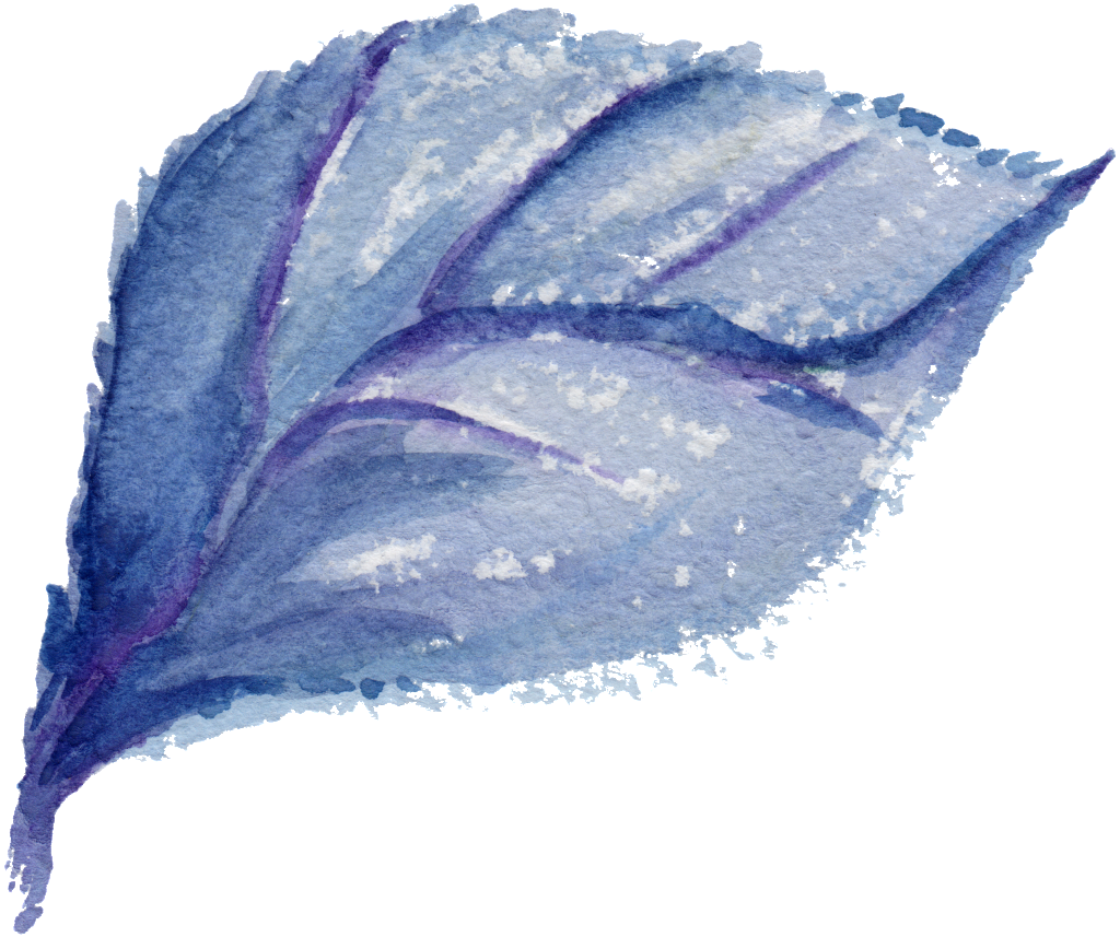 Wave Lychee Leaf Transparent Decorative - Leaf (1024x857), Png Download