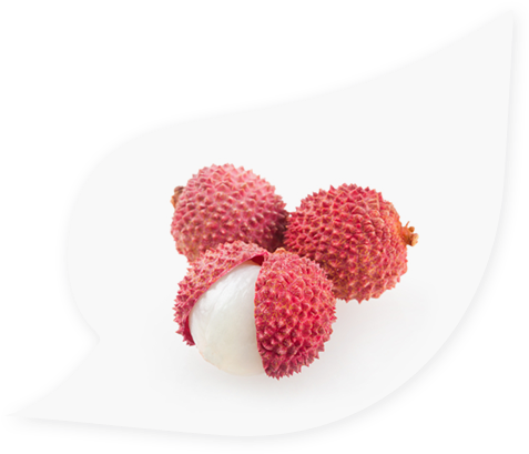 Lychee Png (491x416), Png Download
