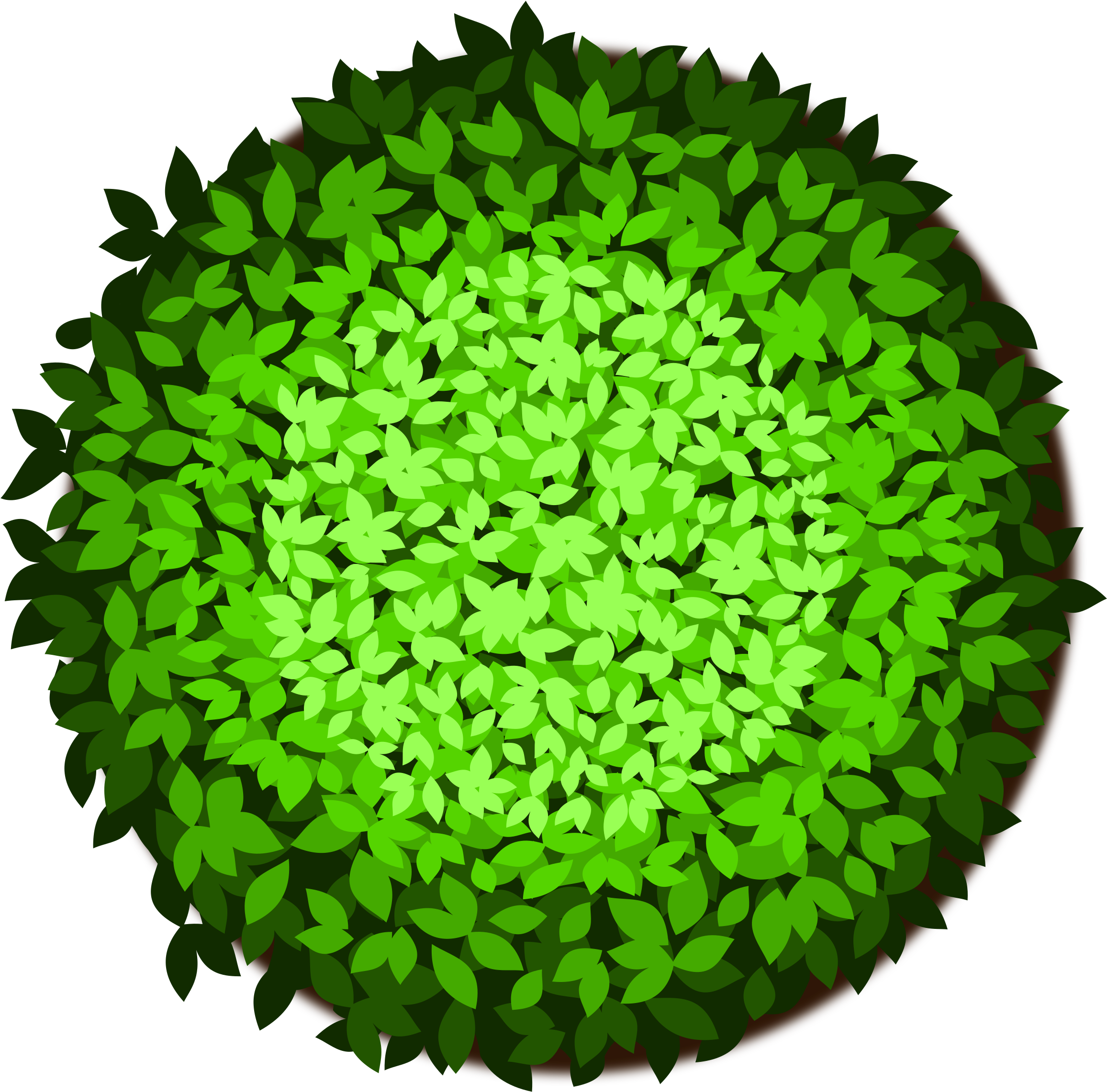 Tree Bonsai Computer Icons Clip Art - Top View Tree Clipart Png (2400x2400), Png Download