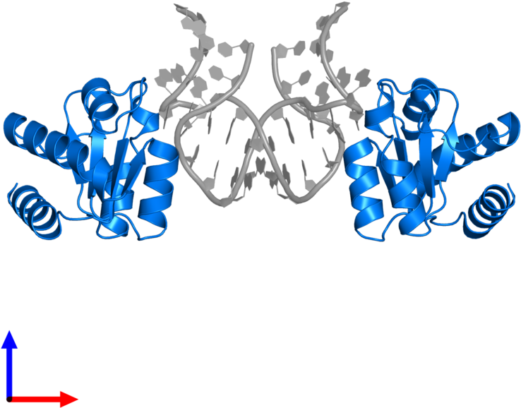 <div Class='caption-body'>pdb Entry 5g4v Contains 2 (800x800), Png Download