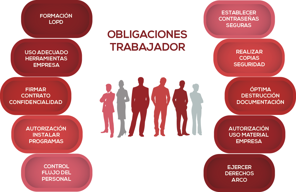 Obligacion Informar A Trabajadores - Derechos Y Obligaciones De Los Trabajadores (1002x652), Png Download