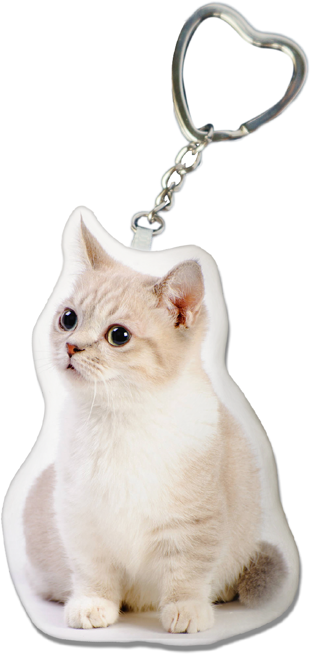 Munchkin Cat Key-chain - Munchkin Cat (1240x1754), Png Download