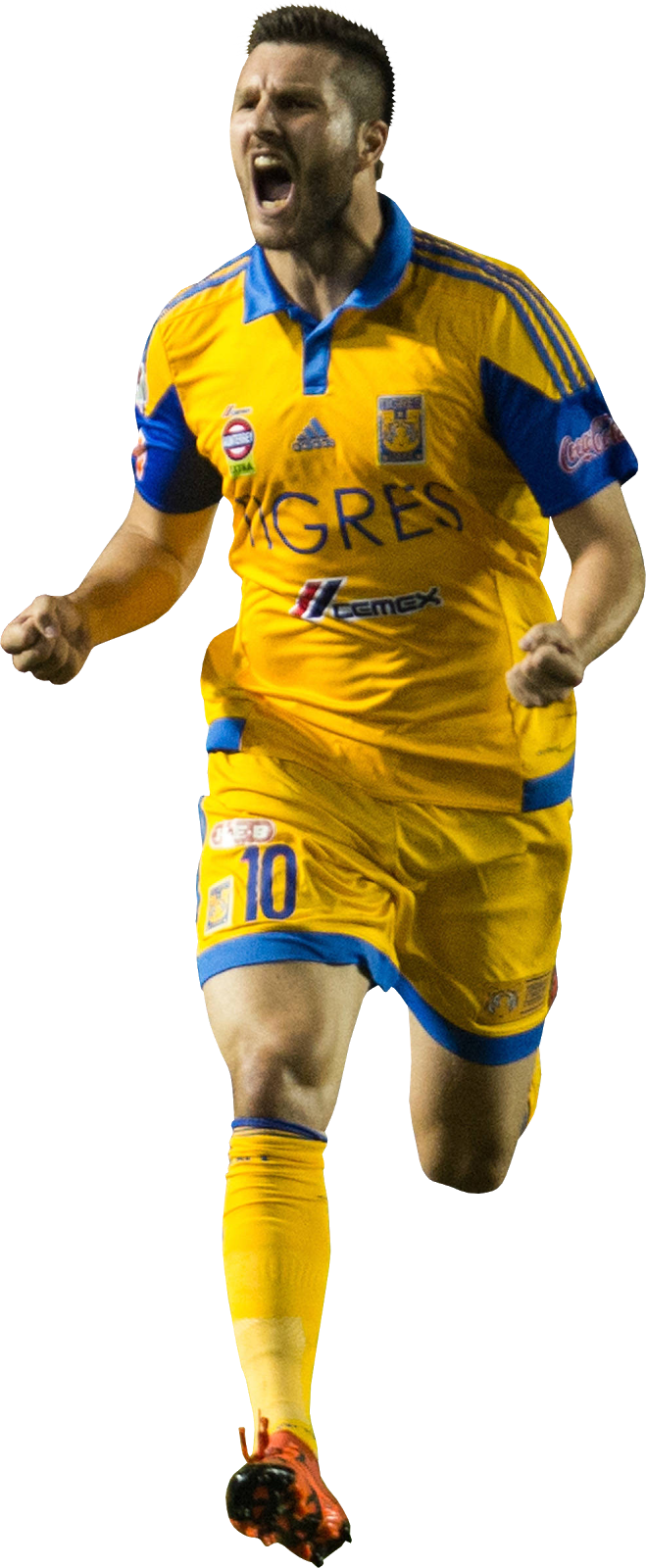 Gignac Tigres Png - Andre Pierre Gignac Png (659x1600), Png Download