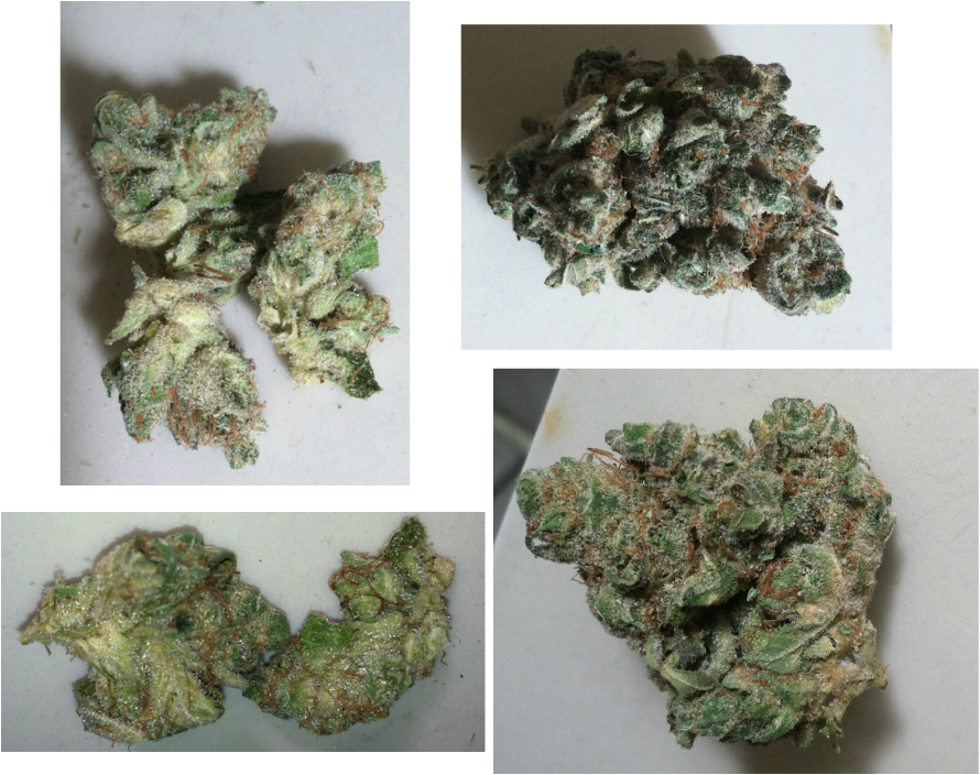 Banana Kush Is One Of Those Strains That Always Leaves - Muthia (890x704), Png Download