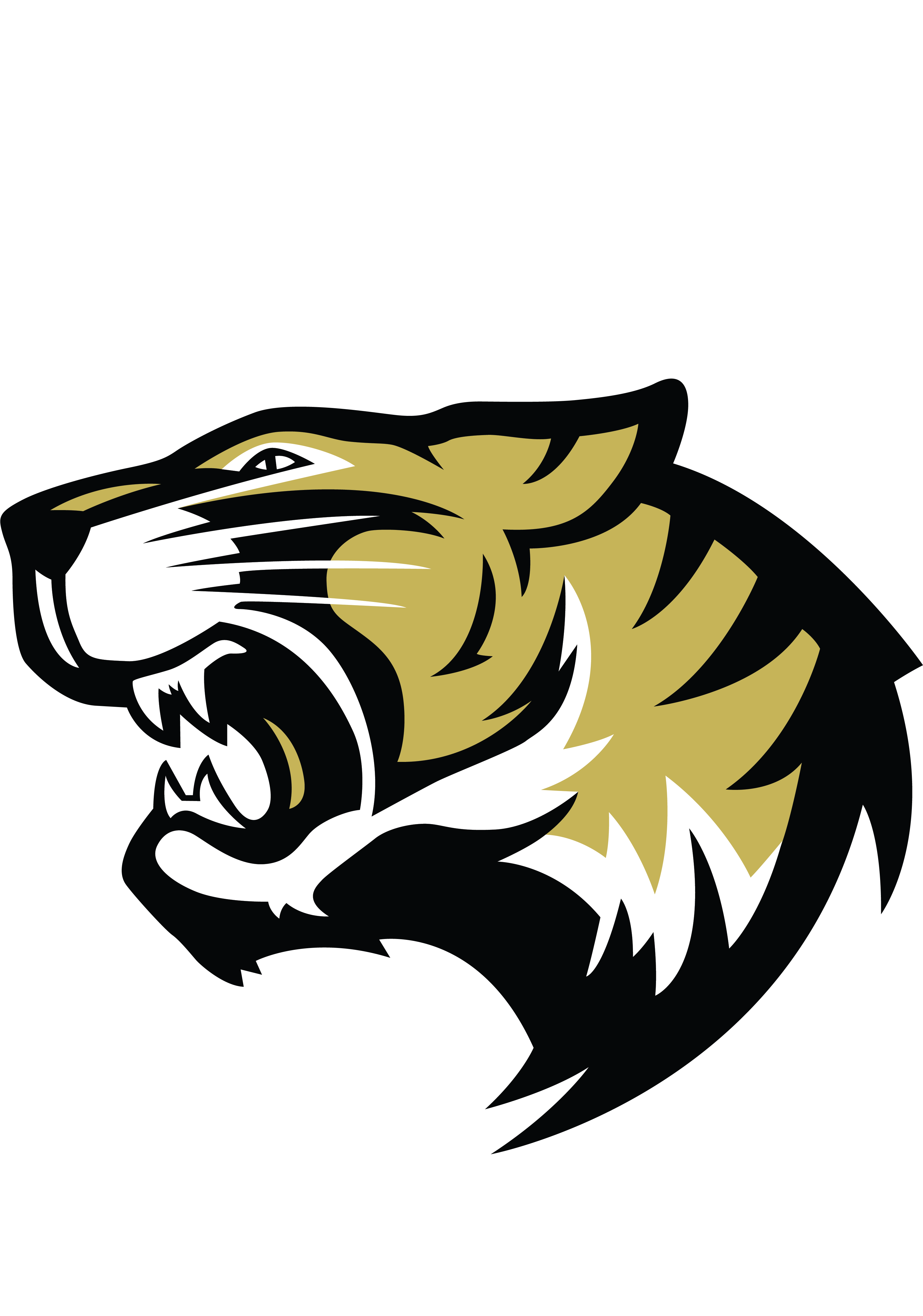 Irving Tigers (5067x4844), Png Download