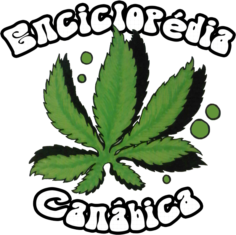 Ver Seções Da Enciclopédia - Drawing (800x800), Png Download