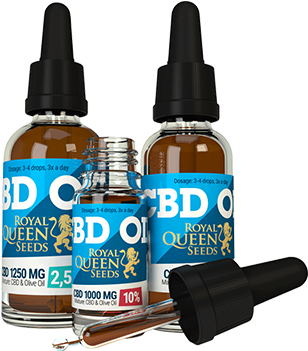 Cannabis Cbd Oil - Royal Queen Seeds Cbd Olie (400x400), Png Download