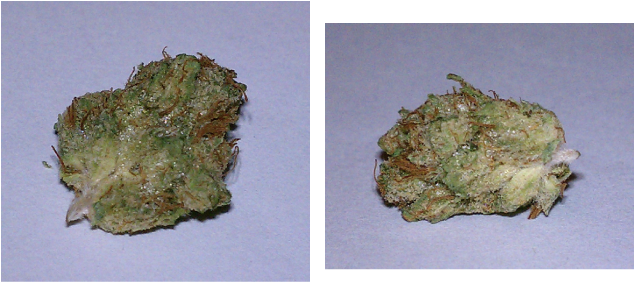 From The One Of The Oldest And Most Respected Dispensaries - Igneous Rock (635x283), Png Download