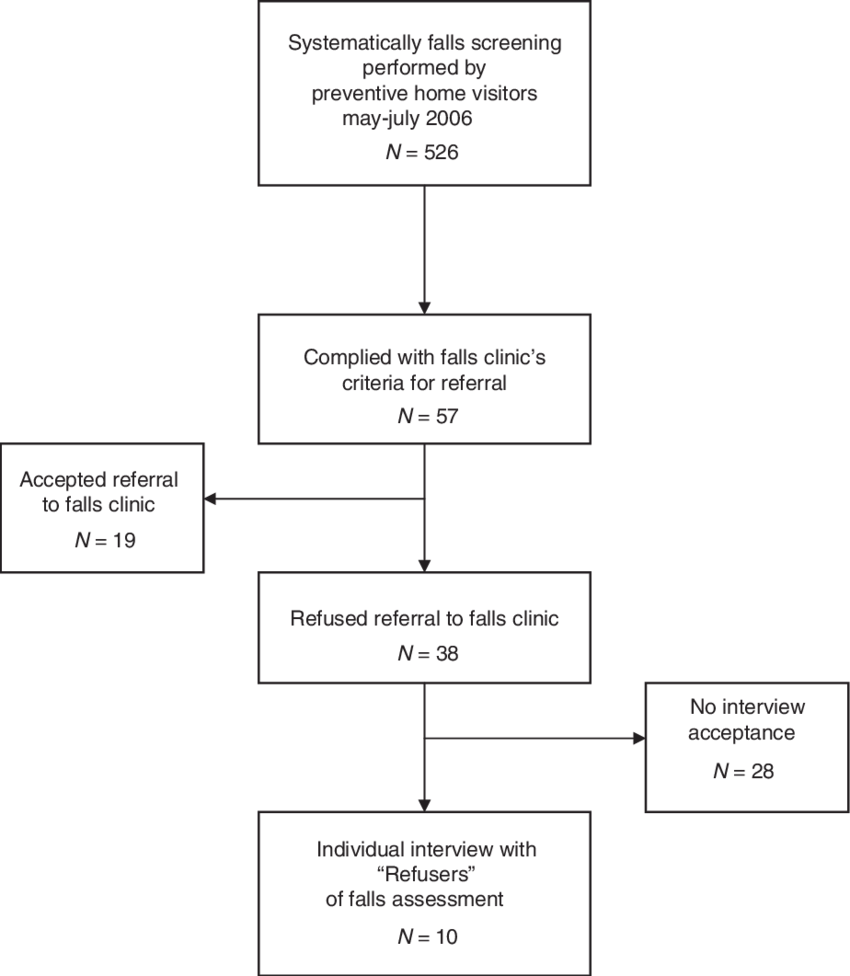 Individual Interviews With Older People At Risk Of - Diagram (850x976), Png Download