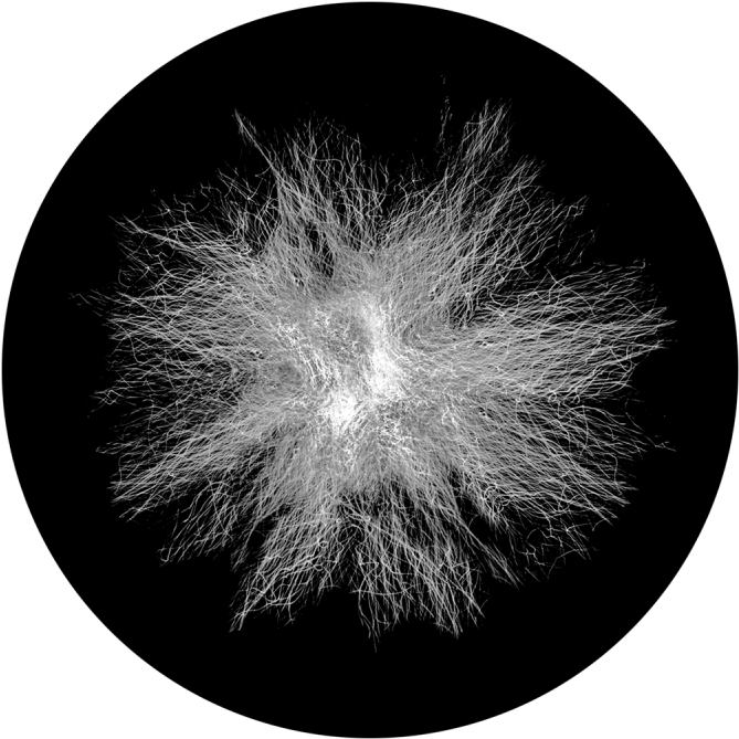 More Views - Apollo Static Dandelion Glass Gobo Sr-2143 (800x800), Png Download