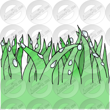 Dew Clipart Grass Drawing - Drawing (380x380), Png Download