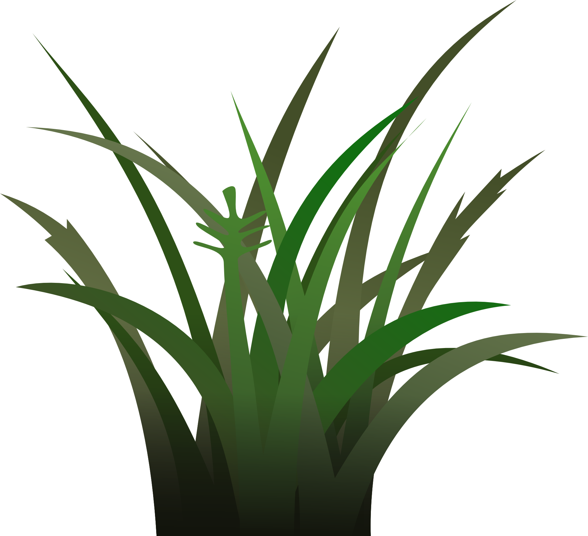 Drawing Of Green Grass - Vegetation Clipart (1920x1751), Png Download