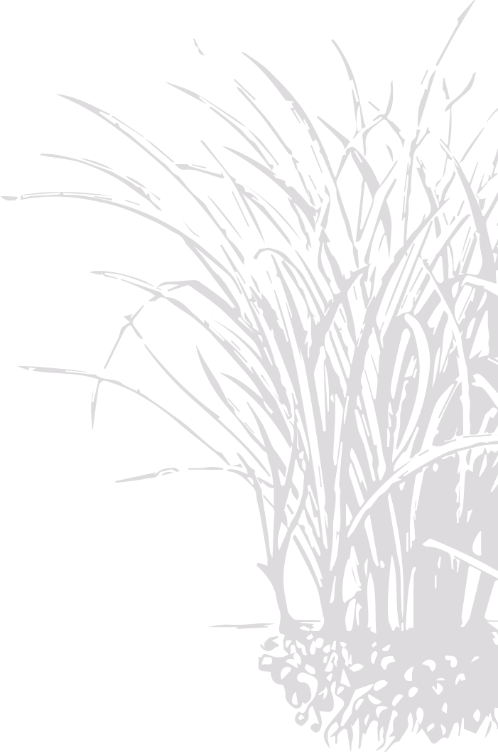 Holistic Management Decision Making Your Land Management - Sketch (701x1058), Png Download