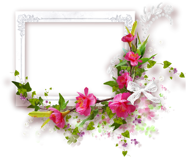 Sonhos Ao Vento - Flores Png Fundo Transparente (740x590), Png Download