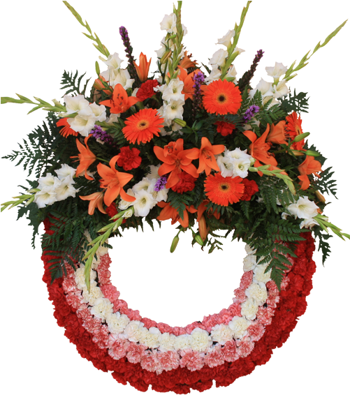 Corona Con Aro De 75cm Con 5 Filas De Clavel Y Cabezal - Diameter (500x574), Png Download