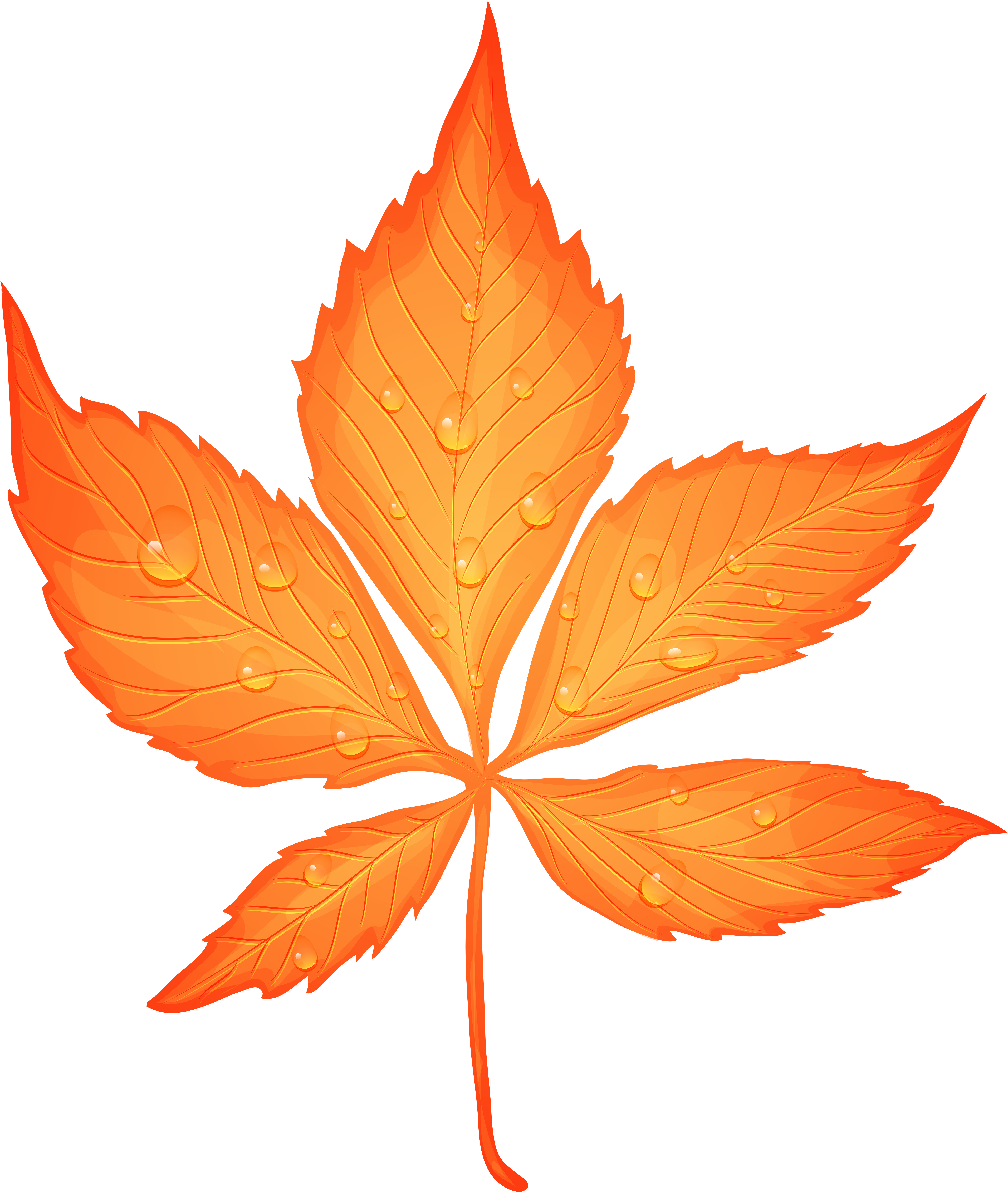 Transparent Autumn Leaf Leaf Png (5919x7000), Png Download