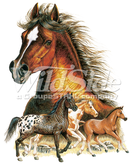 Large Horse Head 3 Horses - Imagenes De Caballos En Gif (421x525), Png Download