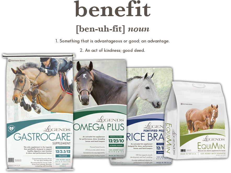 Legends Feed Bags - Legends Rice Bran Fortified Pelleted Horse Supplement (920x668), Png Download