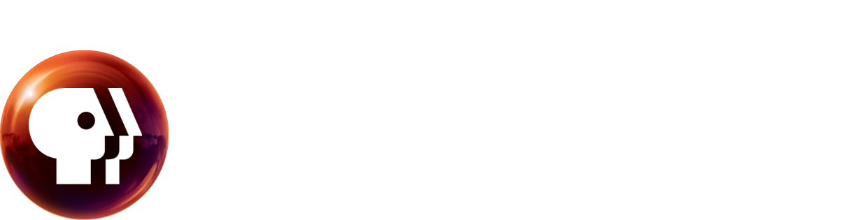 Pbs Online Film Festival - Pbs Socal (1238x315), Png Download