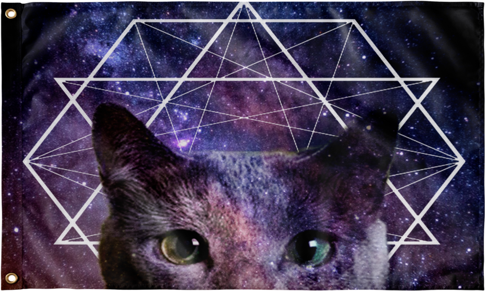 Galaxy Geometric Cat Flag - Cat (1024x1024), Png Download