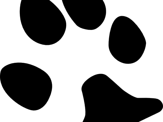 Dog Paw Print Vector (640x480), Png Download