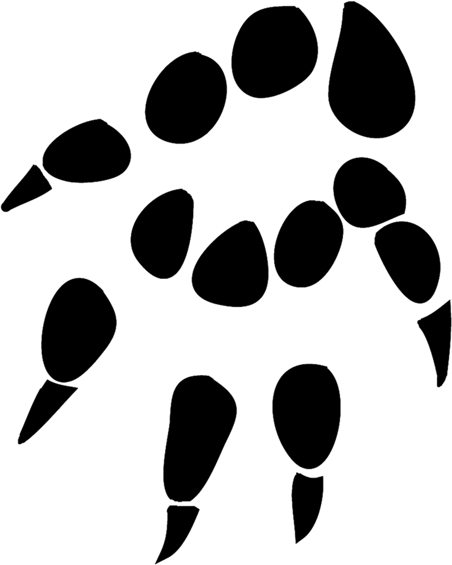Dog Paw Print - Hedgehog Paw Print (945x1161), Png Download