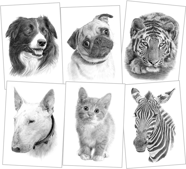 28 Collection Of Prints Drawings - Timmy Woods Handbag//pug Dog//shoulder Bag//dog//dust (750x677), Png Download